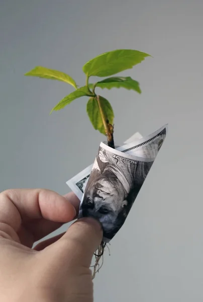 Financiële Concept Een Fabriek Dollar — Stockfoto