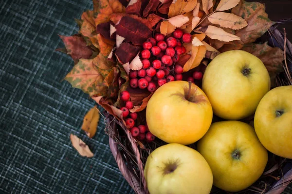 Μήλα Στο Τραπέζι Ένα Καλάθι Φθινοπωρινά Φύλλα Και Κόκκινο Rowan — Φωτογραφία Αρχείου