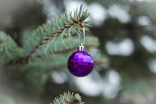 クリスマス ボールの木が通りに立って紫 — ストック写真