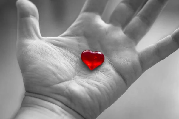 Red transparent heart in hand on black and white background.