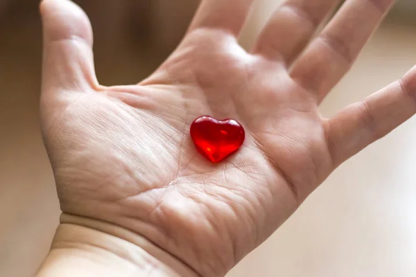 red heart on a woman\'s hand.