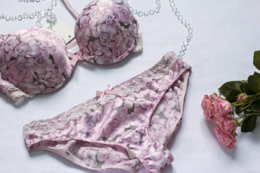 Güzel yumuşak kadın iç çamaşırı, külot ve sutyen