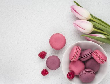 kopya alanı beyaz zemin üzerine macaroons ile hassas laleler