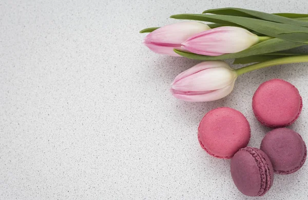 Tulipes et macarons délicats sur fond blanc avec espace de copie — Photo