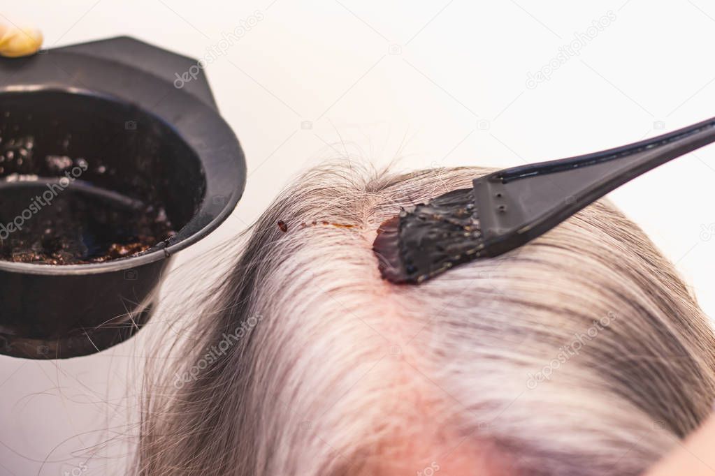 Hairdresser paints gray hair in dark color, apply the paint to the hair in the beauty salon.