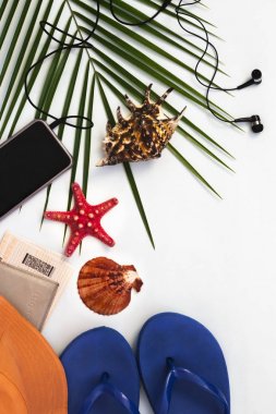 düz düzen, tropikal palmiye ağacı arka plan, seyahat ve beyaz arka plan üzerinde akıllı telefon ile plaj tatil konsepti