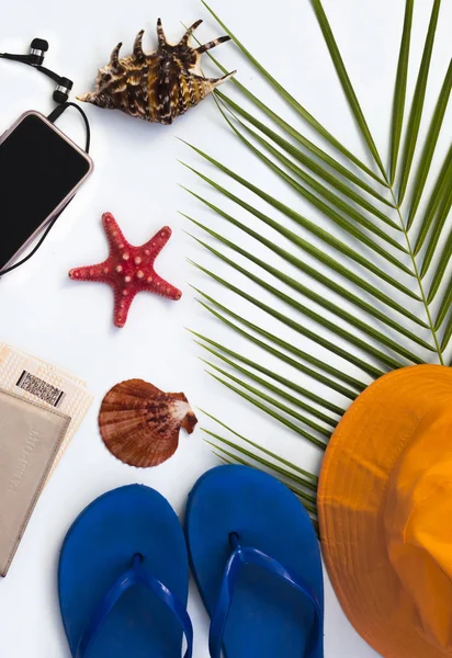 düz düzen, tropikal arka plan, bir akıllı telefon ile sahilde seyahat ve eğlence kavramı