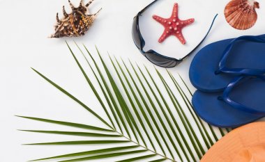 düz düzeni, tropikal palmiye ağacı arka plan, kopya alanı ile beyaz arka plan üzerinde seyahat ve plaj tatil konsepti