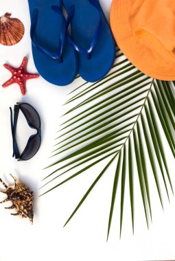 düz düzeni, tropikal palmiye ağacı arka plan, beyaz arka plan üzerinde seyahat ve plaj tatil konsepti