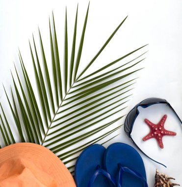 düz düzeni, palmiye ağaçlarının tropikal arka plan, seyahat kavramı ve kopya alanı ile plajda rahatlatıcı