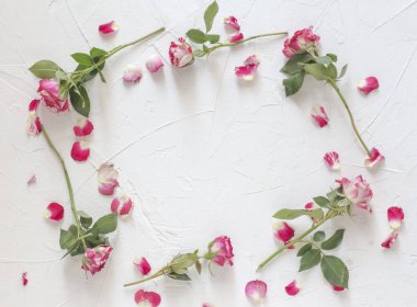 Beyaz bir arka plan üzerinde çiçek gülçerçeve. Düz döşeme, üst görünüm, kopyalama alanı
