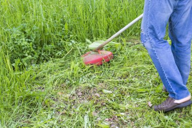 adam bahçede uzun boylu çim benzinli düzeltici çimlerini biçiyor