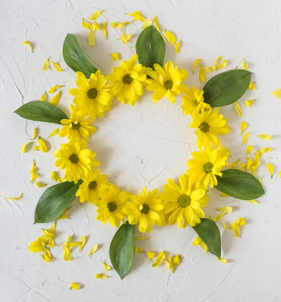 Beyaz bir arka planda Sarı Krizantem çiçekleri çelenk. Paskalya, bahar, yaz konsepti. Düz yatıyordu, üst vi