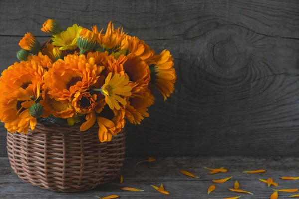 Bouquet of bright medicinal herbs of calendula in a basket on an old wooden background with a copy of space — Stock Photo, Image