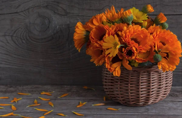 Bouquet d'herbes médicinales brillantes de calendula dans un panier en osier sur un vieux fond en bois avec une copie de l'espace — Photo