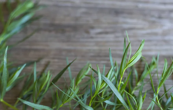 Rata lay, rumput tarragon pada latar belakang kayu dengan fokus lembut dan ruang fotokopi — Stok Foto