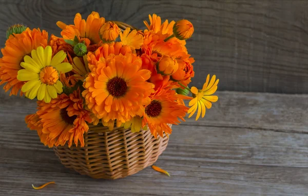 Lush orange bouquet of calendula flowers in a basket on a wooden background with a copy of space — Stock Photo, Image