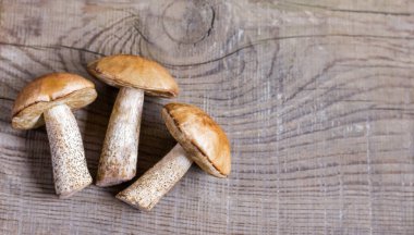 alanın bir kopyası ile ahşap bir arka plan üzerinde yatan taze mantar ile arka plan