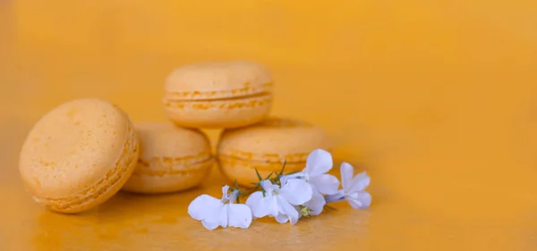 four delicate yellow almond cakes on a yellow background with white flowers with copy space