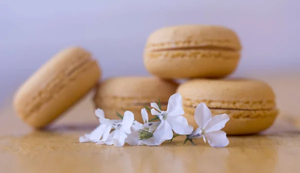 Four delicate yellow almond cookies with white flowers — Stock Photo, Image
