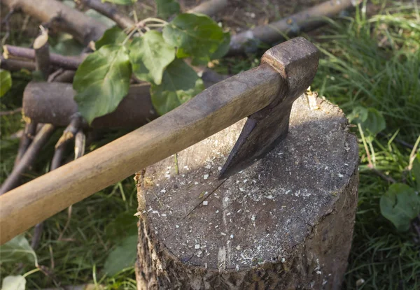 En gammal yxa fastnat i en stubbe på en solig dag, mot en bakgrund av hackade grenar — Stockfoto