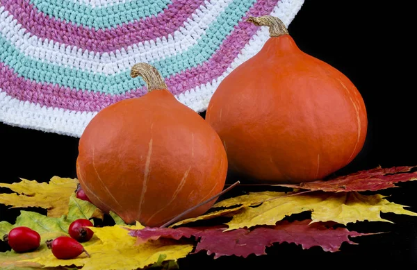 Deux grandes citrouilles mûres sur un fond de tapis vintage avec. Feuilles d'érable d'automne — Photo