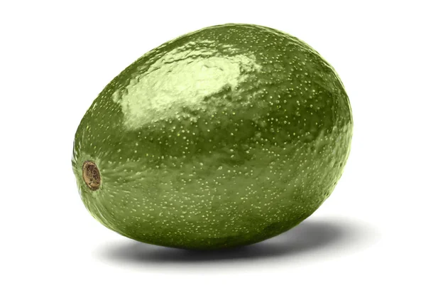 Большой Круглый Зеленый Авокадо Белом Фоне — стоковое фото