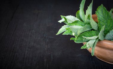 Koyu ahşap bir masada, üzerinde uzay kopyası olan yeşil taze nane şekeri..