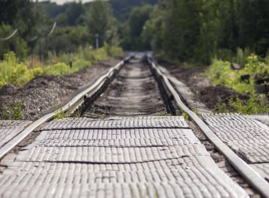 Tren yolu ormanın derinliklerine gidiyor..