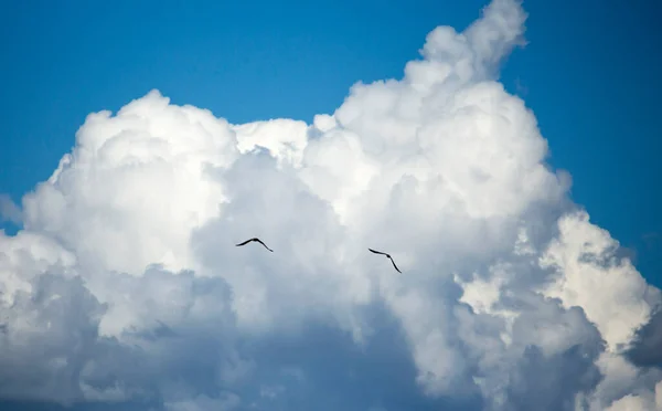 Dos Cometas Elevan Cielo Azul Con Nubes — Foto de Stock