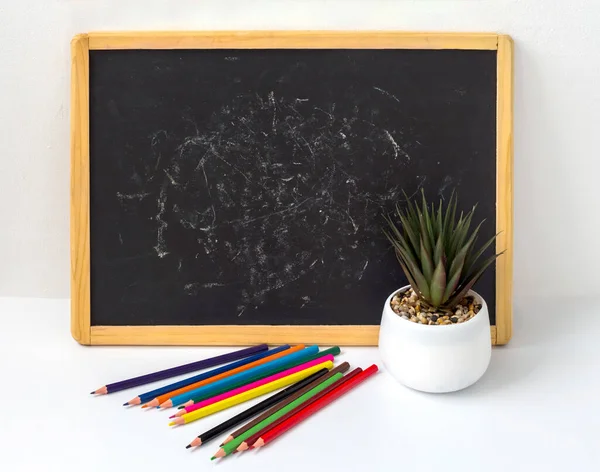 Schwarze Kindertafel Mit Bleistiften Und Einer Blume Auf Weißem Hintergrund — Stockfoto