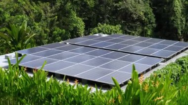 Güneş panelleri, fotovoltaik, tropikal doğa ormanlarında alternatif elektrik kaynağı sürdürülebilir kaynaklar ve yenilikçi alternatif enerji
