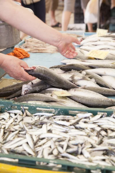 Vendita Acquisto Mostrando Pesce Fresco Sul Mercato Mattina Presto — Foto Stock