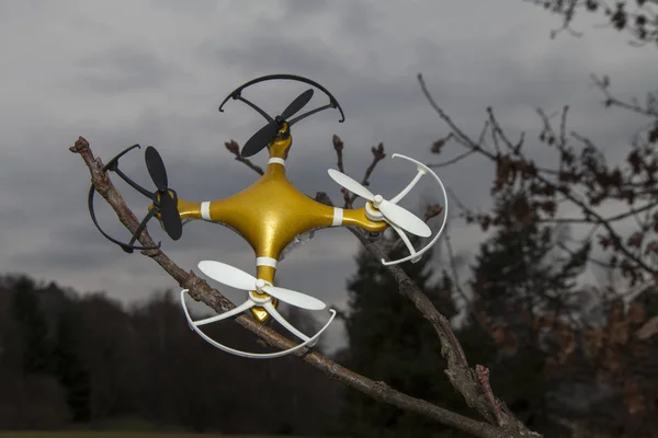 Drone Quadcopter Accident Scene Drone Quadrocopter Crashed Tree City Park — Stock Photo, Image