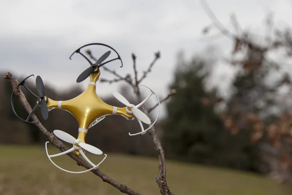 Drone Quadcopter Wypadek Sceny Drone Quadrocopter Rozbił Się Drzewie Parku — Zdjęcie stockowe