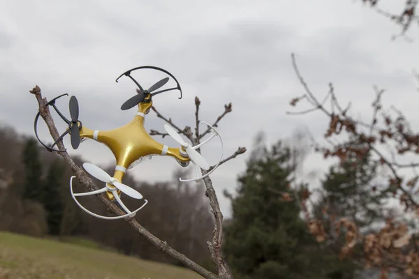 Drone Quadcopter Wypadek Sceny Drone Quadrocopter Rozbił Się Drzewie Parku — Zdjęcie stockowe