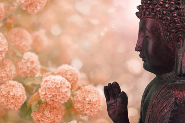 佛像的侧面观 花的粉红色和白色背景下的散景效果和光线 — 图库照片