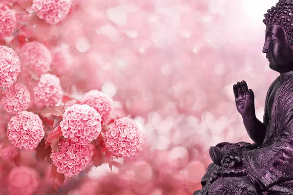Boční Pohled Socha Buddhy Květy Růžové Bílé Barvy Pozadí Bokeh — Stock fotografie