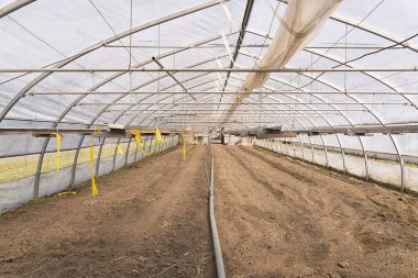 Sistem sulama ile boş bir küçük sera içine görüntüleyin. Mikroklima denetim kavramı