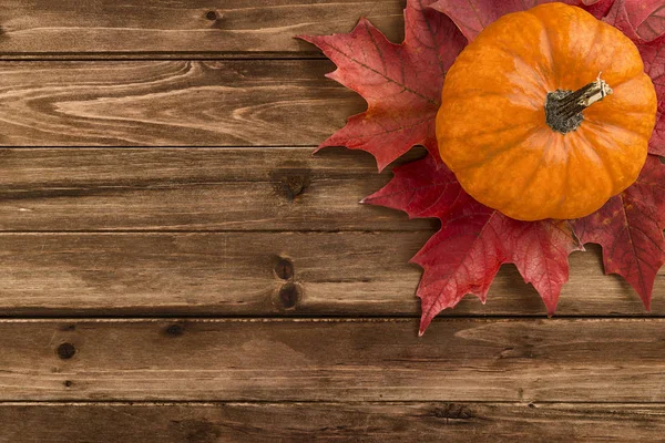 赤もみじとカボチャの葉に破棄された木製のテーブル フラット横たわっていた トップ ビュー秋秋のコンセプト — ストック写真