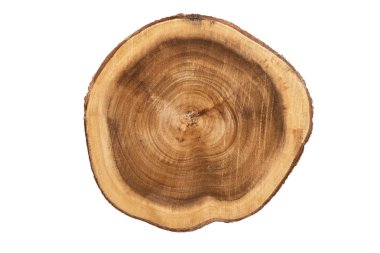 Gerçek bir turda ahşap doku, hemen üstüne kesmek kapatın. Beyaz arka plan üzerinde izole.