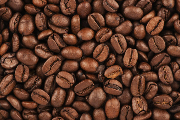 Top view on background texture of coffee beans. Copy space for your text. Macro photography.