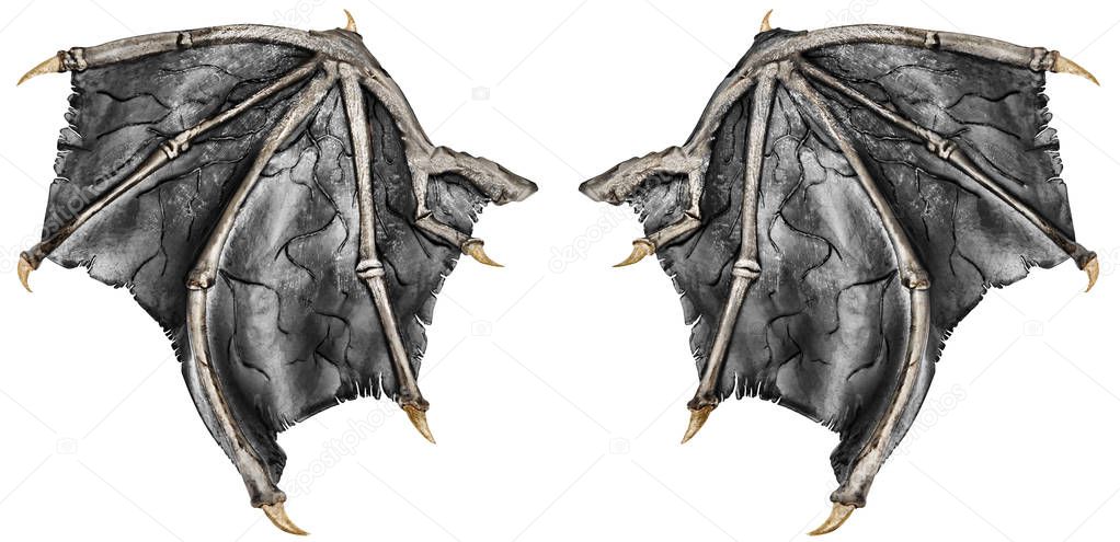 Dark grey realistic dragon wings, isolated on white background. Close up.
