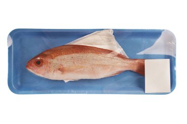 Süpermarkette bir strafor konteyner kırmızı snapper çiğ balık. Beyaz arka planda yalıtılmış.
