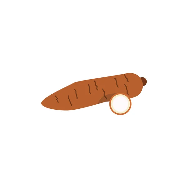 Cassava isolated on white background. Vector illustration — Stock Illustration Cassava Isolated White Background Vector Illustration Stock Illustration