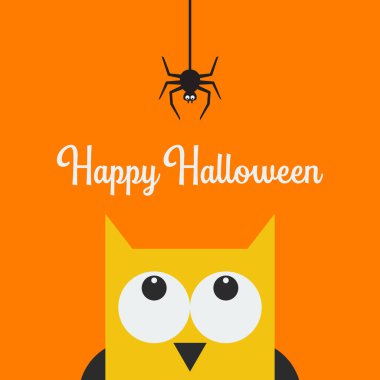 Baykuş surat çizgi ağ örümceğine bakıyor. Vektör illüstrasyonu