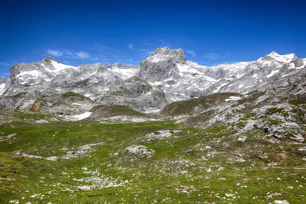 Picos de Europa manzarası