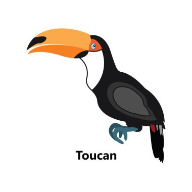 Beyaz arka plan tek metin üzerinde renkli toucan sembolü