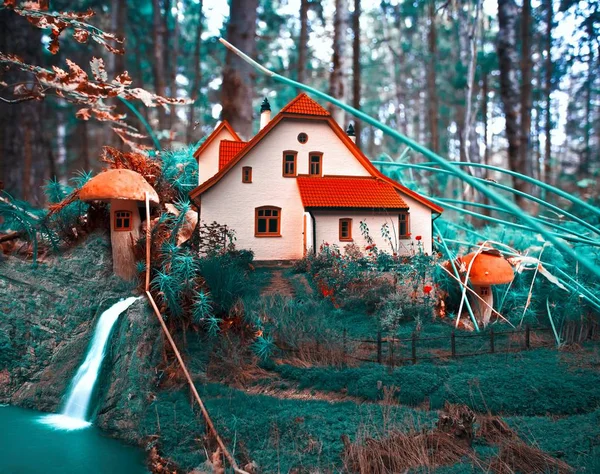 Chalet champignon en forêt. collage, fond fantaisie — Photo