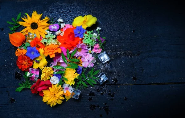 Textur verschiedener Gartenblumen, Draufsicht. — Stockfoto